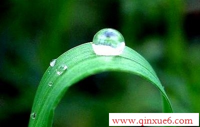Ҷwww.qinxue6.com