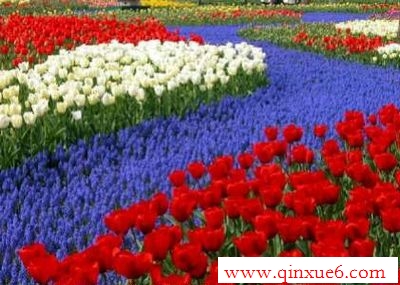 Ļwww.qinxue6.com