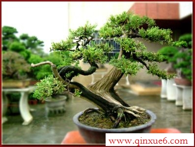 β辰http://www.qinxue6.com/
