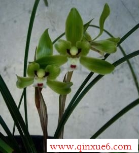 ȶʱôܺhttp://www.qinxue6.com